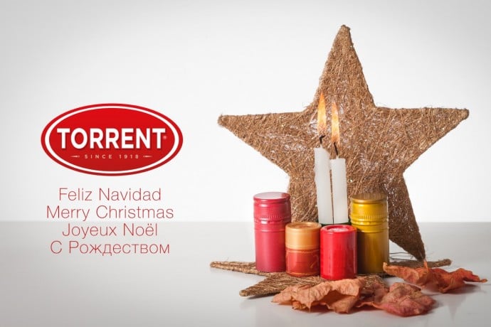 N14 1 627f82e3ed588eba41bf3bca78751e58 | Grupo Torrent España