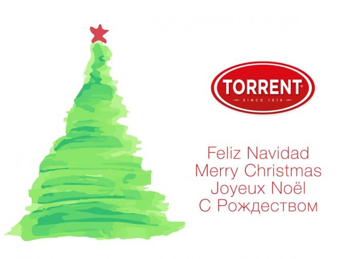 navidad 8d0566593cc7bac7cf5c4aa458a48f1f | Grupo Torrent España