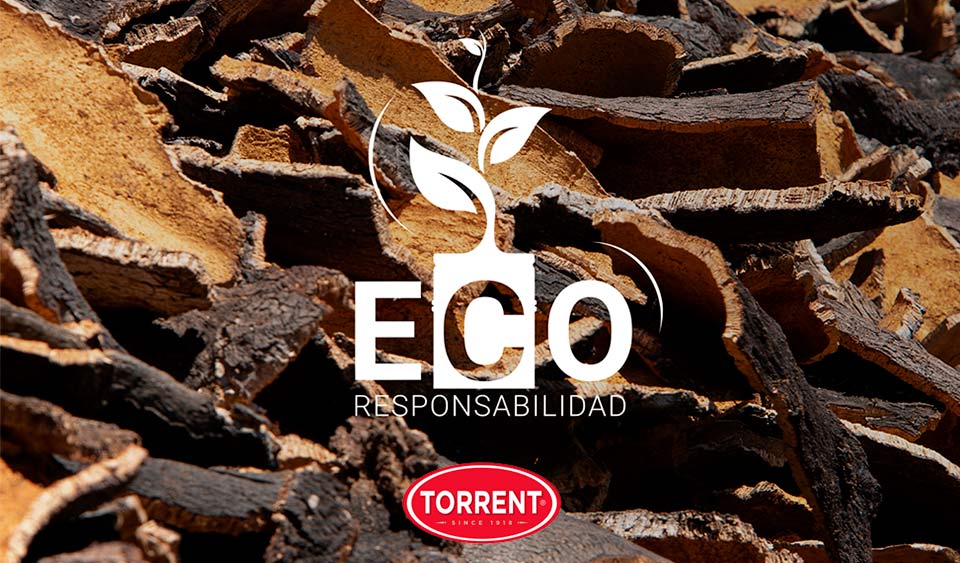 Ecorresponsabilidad, en Grupo Torrent | Grupo Torrent